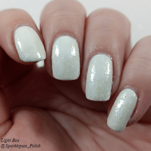 Born Pretty 31700-8 1