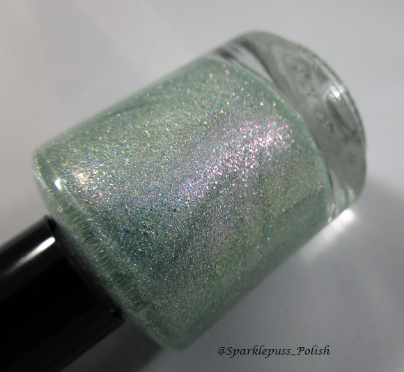 Girly Bits What A Bunch Abalone