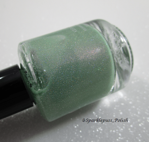 KBShimmer Cactus If You Can
