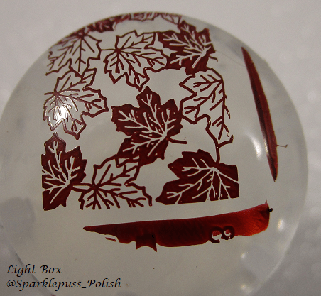 Beauty Bigbang J6415TM-4A fall leaves 4